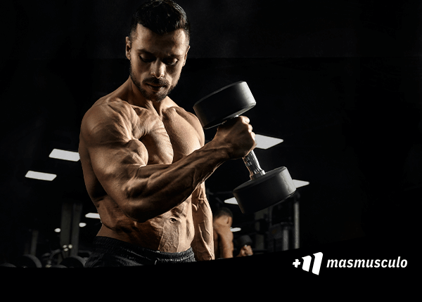 Ecdisterona: La clave natural para aumentar tu fuerza y crecimiento muscular