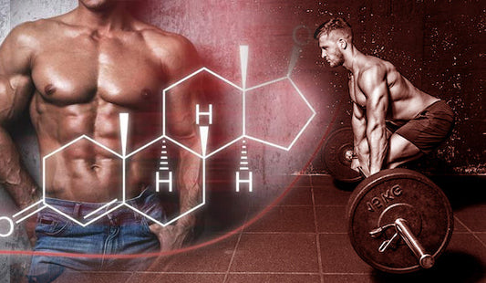 Incrementa tu testosterona entrenando piernas