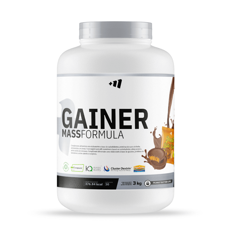 Gainer MASS Formule de Masmusculo Supplements - Masmusculo Supplements 6