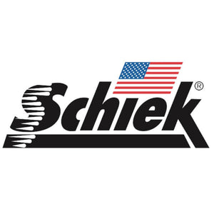 Schiek