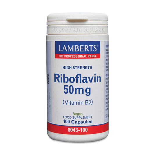 Lamberts Riboflavine 50 mg de la marque Lamberts dans la collection Vitamines
