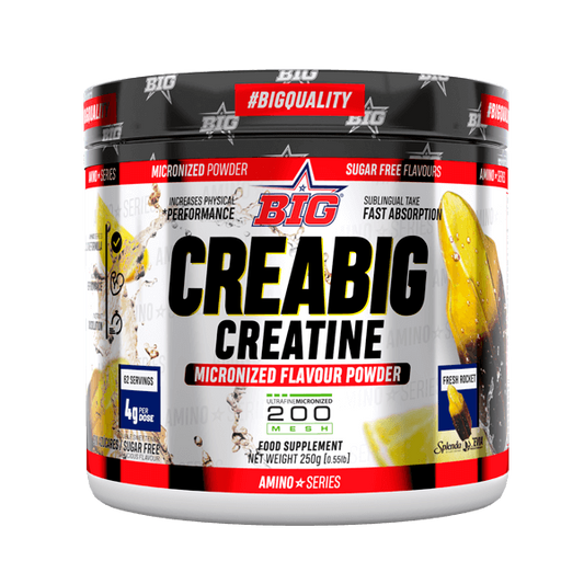 CreaBig Créatine 200 Mesh de Big de la marque BIG dans la collection Créatine