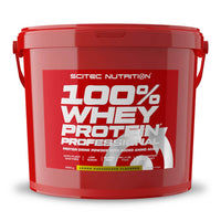 100% Whey Protein Professional envase de 5kg por Scitec Nutrition suplemento de la sección proteina de suero whey