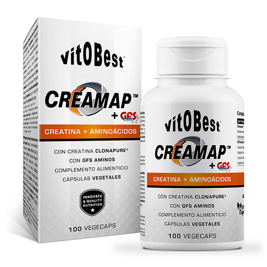 Creamap + GFS par Vitobest de la marque VitOBest dans la collection Créatine
