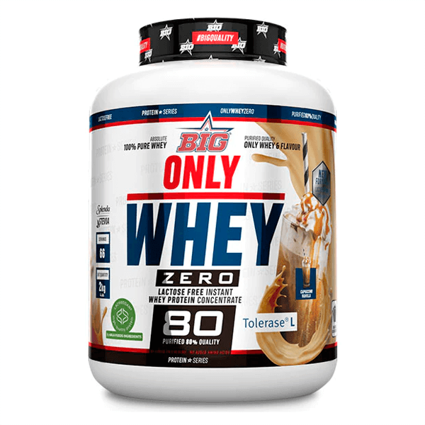 Seulement Whey par Big - BIG 3