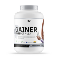 Gainer MASS Formula envase de 3 kg hecho por MM Supplements - ganadores de peso con proteína