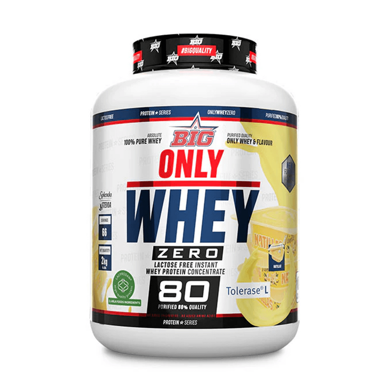 Seulement Whey par Big - BIG 31