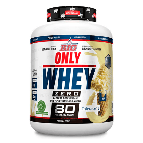 Seulement Whey par Big - BIG 22