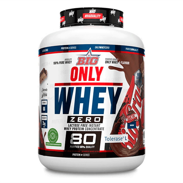 Seulement Whey par Big - BIG 6
