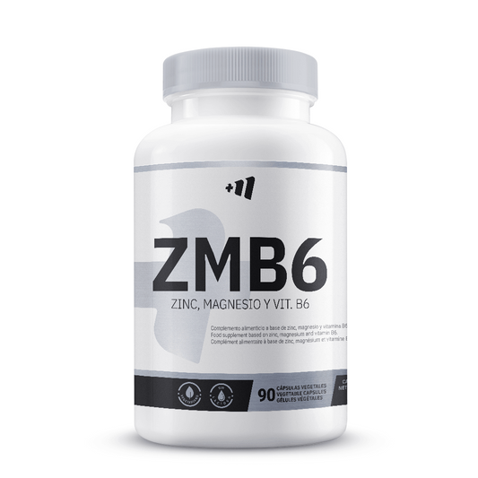 ZMB6 (zinc, magnésium et vitamine B6) de Masmusculo Supplements de la marque MM Supplements dans la collection précurseurs hormonaux naturels